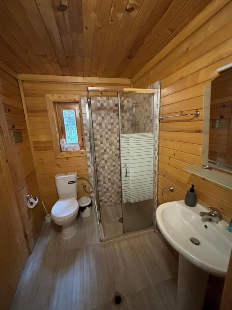 Chalet Sofia Boroveț Exterior foto