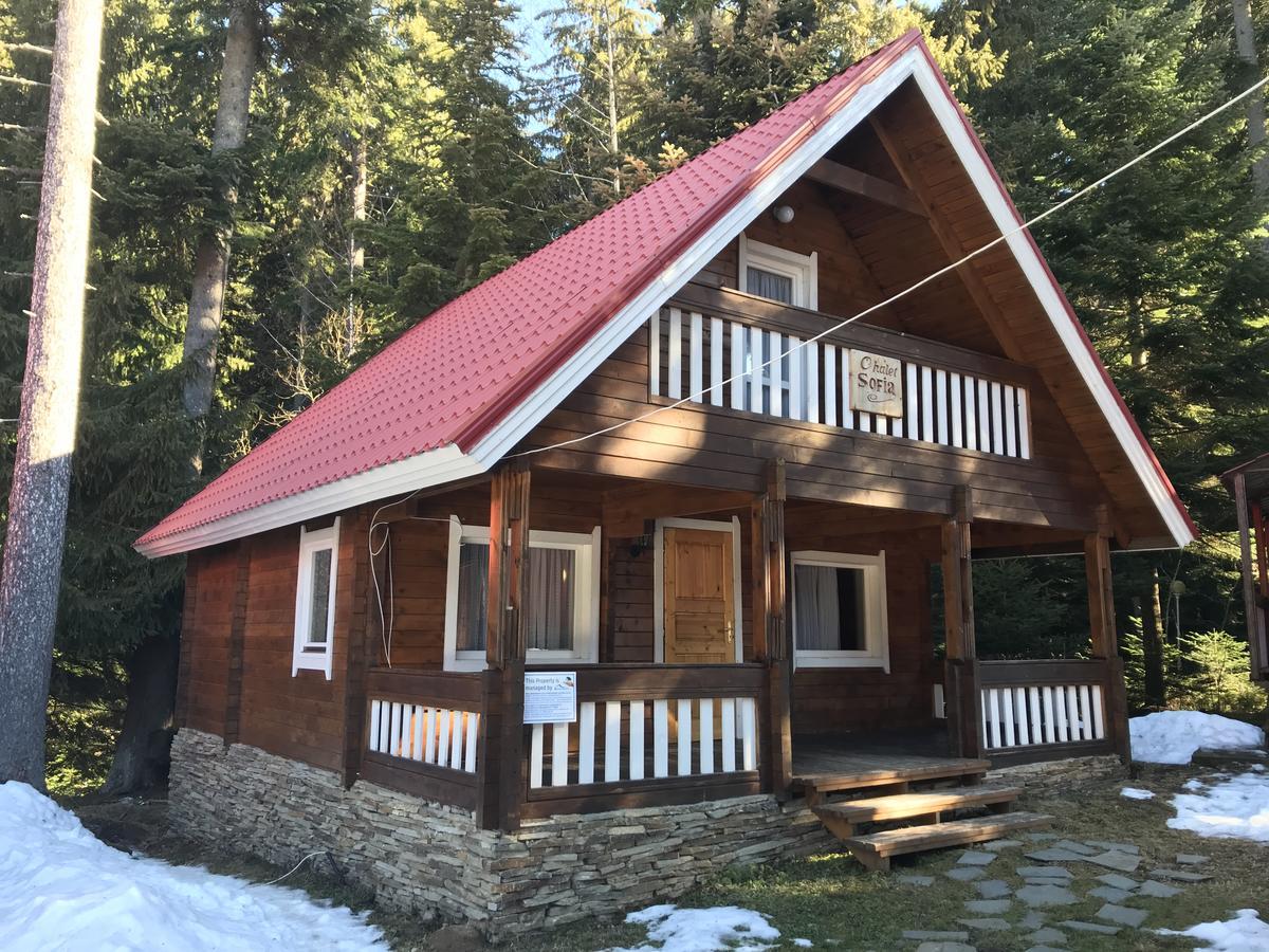 Chalet Sofia Boroveț Exterior foto